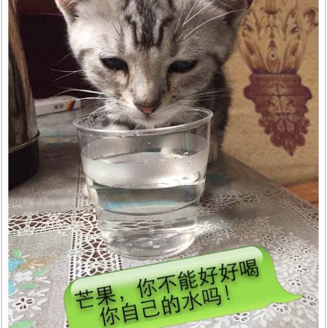 秘鲁沃达丰法案怎么买高仿